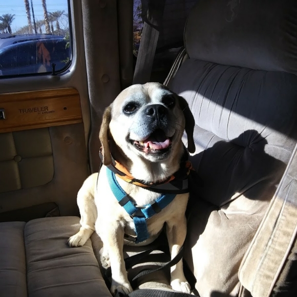 Meet your Posher, Jennifer - Picture 3 of 6